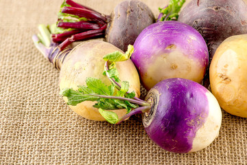 Variety of taproot vegetables including turnips, swedes and beet - obrazy, fototapety, plakaty