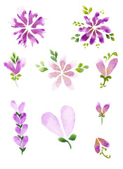 Fototapeta na wymiar watercolor beautiful flowers with leaves