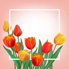 Spring illustration with tulips and frame.