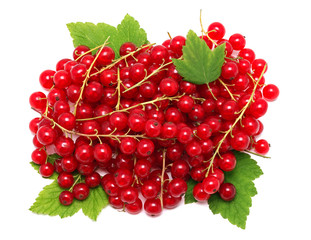 Pile of ripe redcurrant berries on green leaves (isolated)