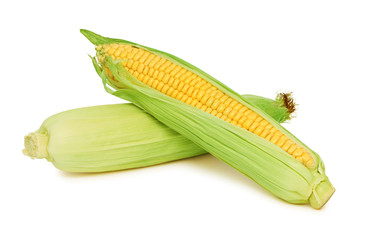 Two corn on the cob with green leaves (isolated)