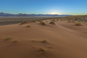 Fototapeta na wymiar Sand Patterns on the Dune