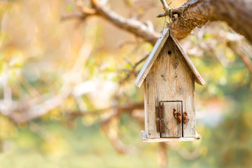 Birdhouse on the tree