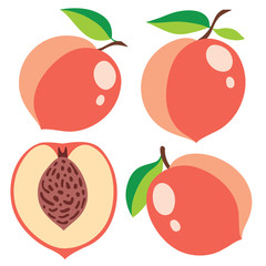 Vector peaches collection