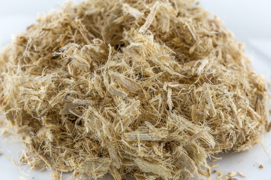 Close up view of Slippery elm 