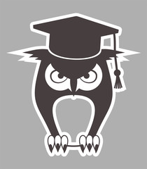 student owl