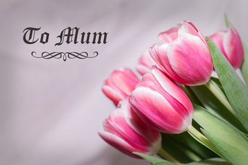 Fototapeta premium Card to Mum