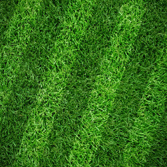 Sport lined grass field