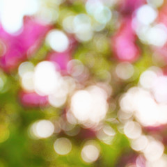 Obraz premium Bokeh of nature