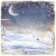 Fototapeta na wymiar Winter night landscape. Merry Christmas and Happy new year background