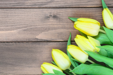 spring tulips on wooden background