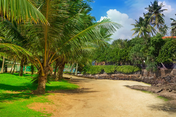 Scenic rural road in Sri Lanka.