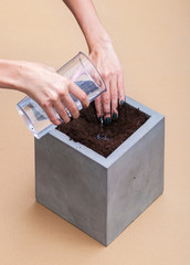 Watering square concrete pot