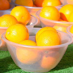 Oranges for sale in bowls at bi-weekly market in Bedford, Bedfor