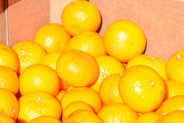 Oranges for sale in bowls at bi-weekly market in Bedford, Bedfor