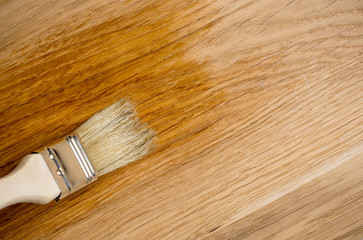 closeup hand use brush paint clear lacquer on wood surface