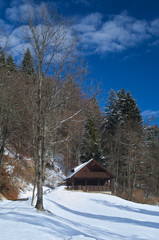 Rustic wooden house with snow in a wood of the Italian Alps, Tarvisio
