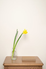 Yellow narcissus in vase and a book