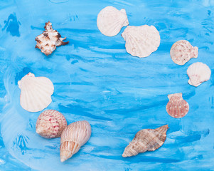 paper and shells