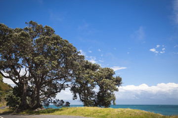 Strand in Coromandel  Neuseeland