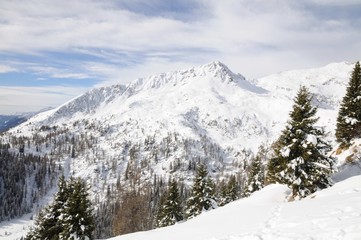 Dolomiti del Brenta