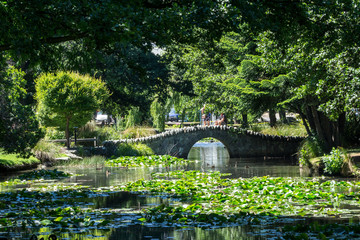 Obraz premium queenstown garden bridge