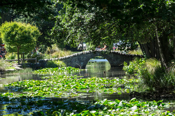 queenstown garden bridge