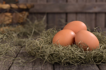 Three Brown Eggs in a Nest