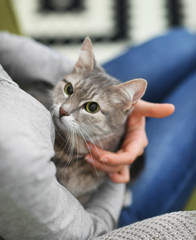 Woman holding cat on her hands closeup