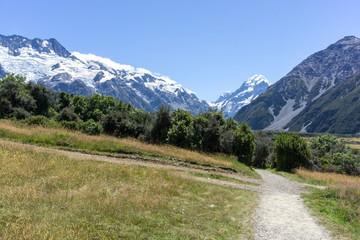 Obraz premium Kea Point Track