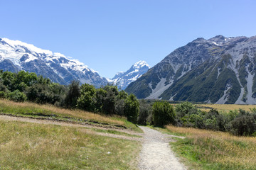 Naklejka premium Kea Point Track