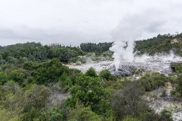 te puia geothermal valley