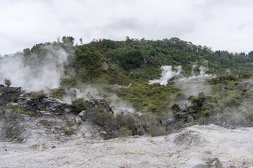 te puia geothermal valley