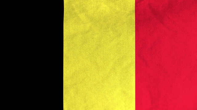 Belgian flag waving in the wind (full frame footage in 4K UHD resolution).