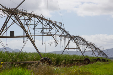 Overhead Spray Irrigator