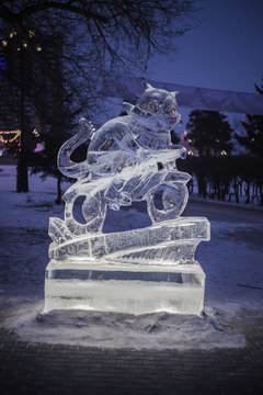 Cat shone from an ice / Ice cat with illumination