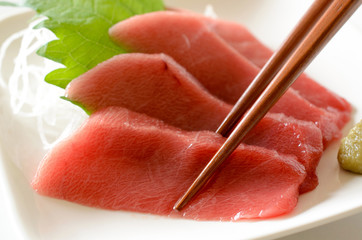 中トロの刺身