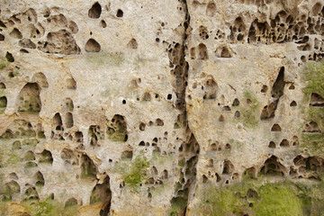 Structure of sandstone cliffs-detail