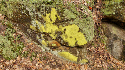 Structure of sandstone cliffs-detail