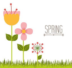 spring season design 