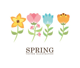 spring season design 