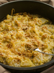 Potato gratin with cheese