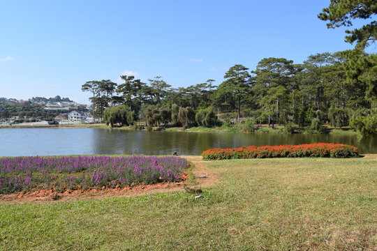 Than Tho lake banks with pink and red flowers garden and pine woods in Dalat, Vietnam 
