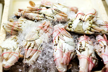 fresh crabs straight
