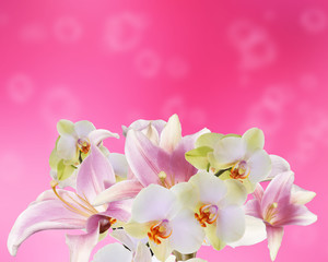 Fototapeta na wymiar Light Pink Art beautifil bouquet lily with orchid