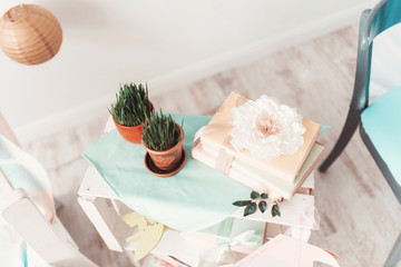 Small green plant at ceramic flowerpot on table in the room