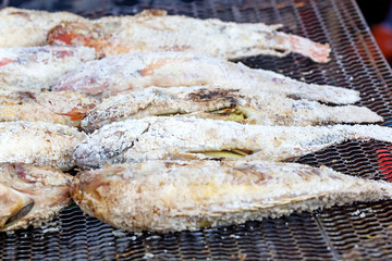 Fish on the grill