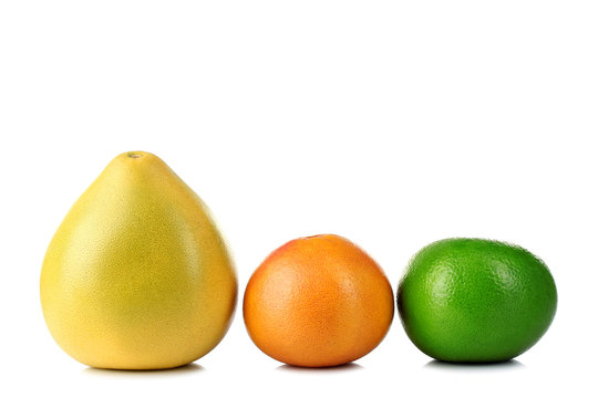 delicious and healthy pomelo with grapefruit and switty isolated on a white background exhibited in a number of