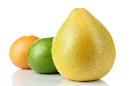 delicious and healthy pomelo with grapefruit and switty isolated on a white background exhibited in a number of