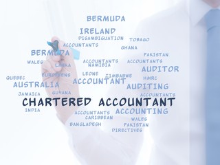 Chartered Accountant
